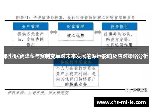 职业联赛降薪与赛制变革对未来发展的深远影响及应对策略分析