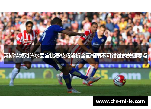 莱斯特城对阵水晶宫比赛技巧解析全面指南不可错过的关键要点