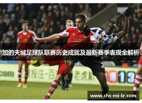 加的夫城足球队联赛历史成就及最新赛季表现全解析