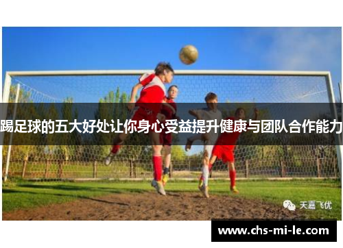 踢足球的五大好处让你身心受益提升健康与团队合作能力