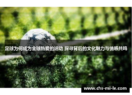 足球为何成为全球热爱的运动 探寻背后的文化魅力与情感共鸣