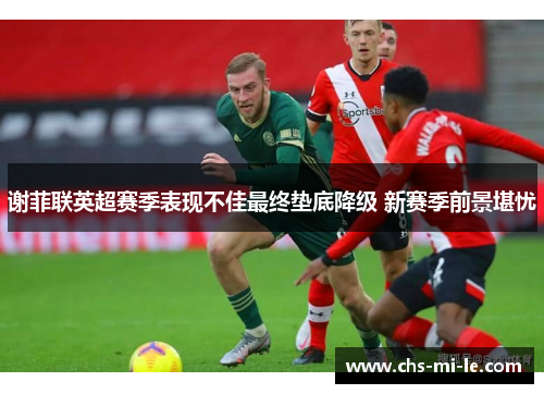 谢菲联英超赛季表现不佳最终垫底降级 新赛季前景堪忧